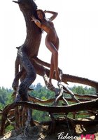 Длинноногая нимфа голышом позирует на корнях высокого дерева 14 фото Длинноногая нимфа голышом позирует на корнях высокого дерева 14 фото