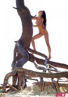 Длинноногая нимфа голышом позирует на корнях высокого дерева 23 фото Длинноногая нимфа голышом позирует на корнях высокого дерева 23 фото