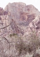 Татуированная красотка с торчащими сосками 6 фото Татуированная красотка с торчащими сосками 6 фото