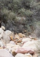 Татуированная красотка с торчащими сосками 19 фото Татуированная красотка с торчащими сосками 19 фото