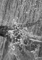 Девушка с африканскими косичками позирует в комнате и на улице 17 фото Девушка с африканскими косичками позирует в комнате и на улице 17 фото