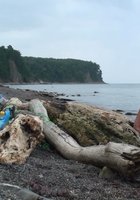 Любовница отсасывает у партнера на берегу 2 фото Любовница отсасывает у партнера на берегу 2 фото