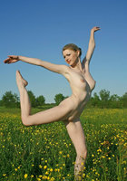 Стройная миледи с третьим размером позирует в поле полностью голая 8 фото Стройная миледи с третьим размером позирует в поле полностью голая 8 фото