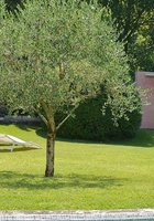 Симпатичная дама в желтом купальнике развлекается в бассейне 13 фото Симпатичная дама в желтом купальнике развлекается в бассейне 13 фото