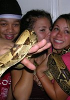 Студентки попозировали с удавом на шее, после чего одна из баб отсосала хахалю 14 фото Студентки попозировали с удавом на шее, после чего одна из баб отсосала хахалю 14 фото