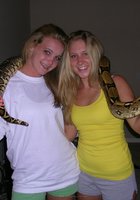 Студентки попозировали с удавом на шее, после чего одна из баб отсосала хахалю 17 фото Студентки попозировали с удавом на шее, после чего одна из баб отсосала хахалю 17 фото