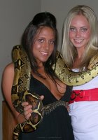 Студентки попозировали с удавом на шее, после чего одна из баб отсосала хахалю 18 фото Студентки попозировали с удавом на шее, после чего одна из баб отсосала хахалю 18 фото